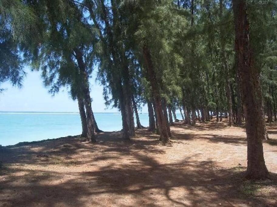 Beachfront Apartment Flic-en-Flacq Dış mekan fotoğraf